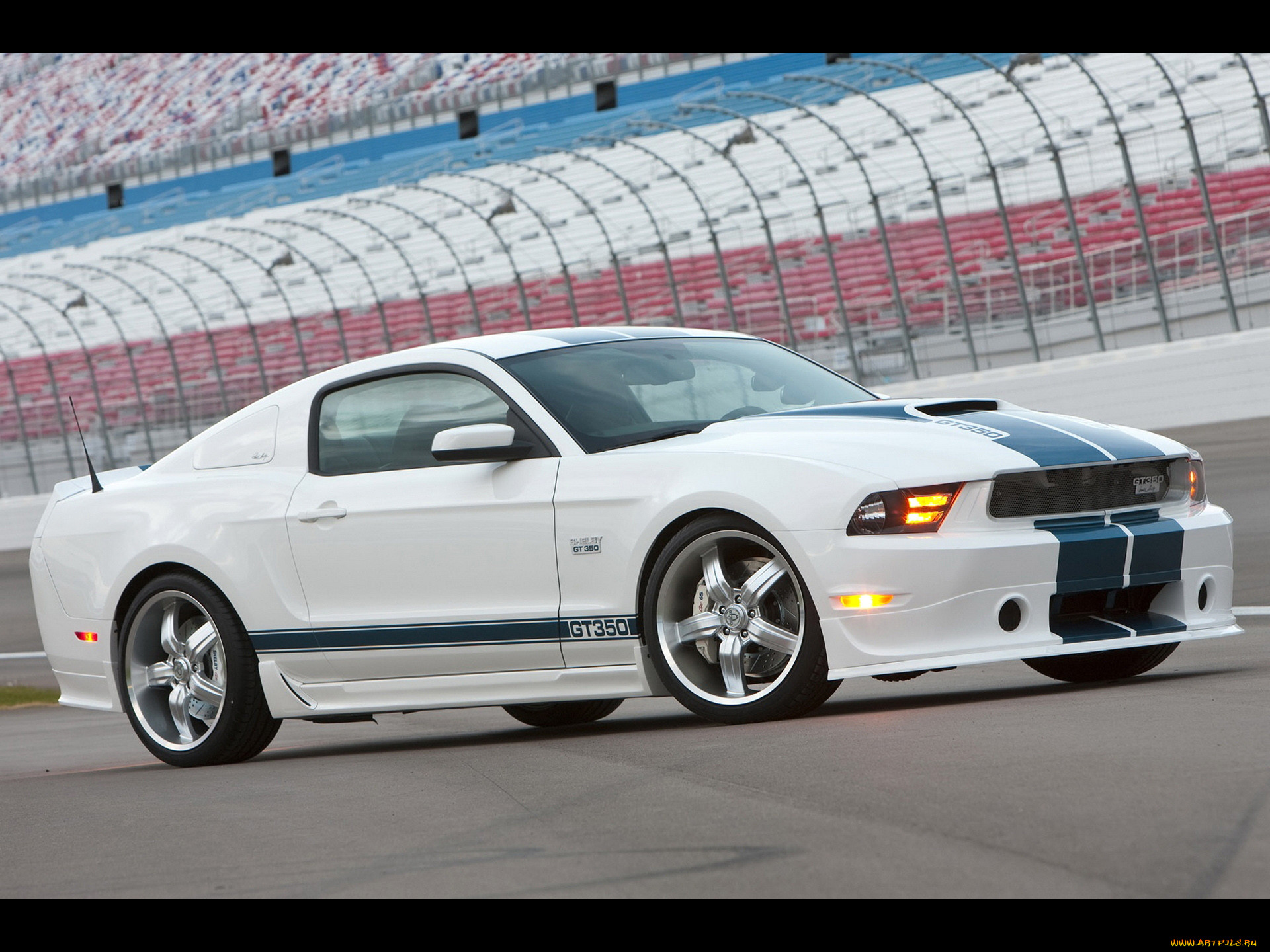 , mustang